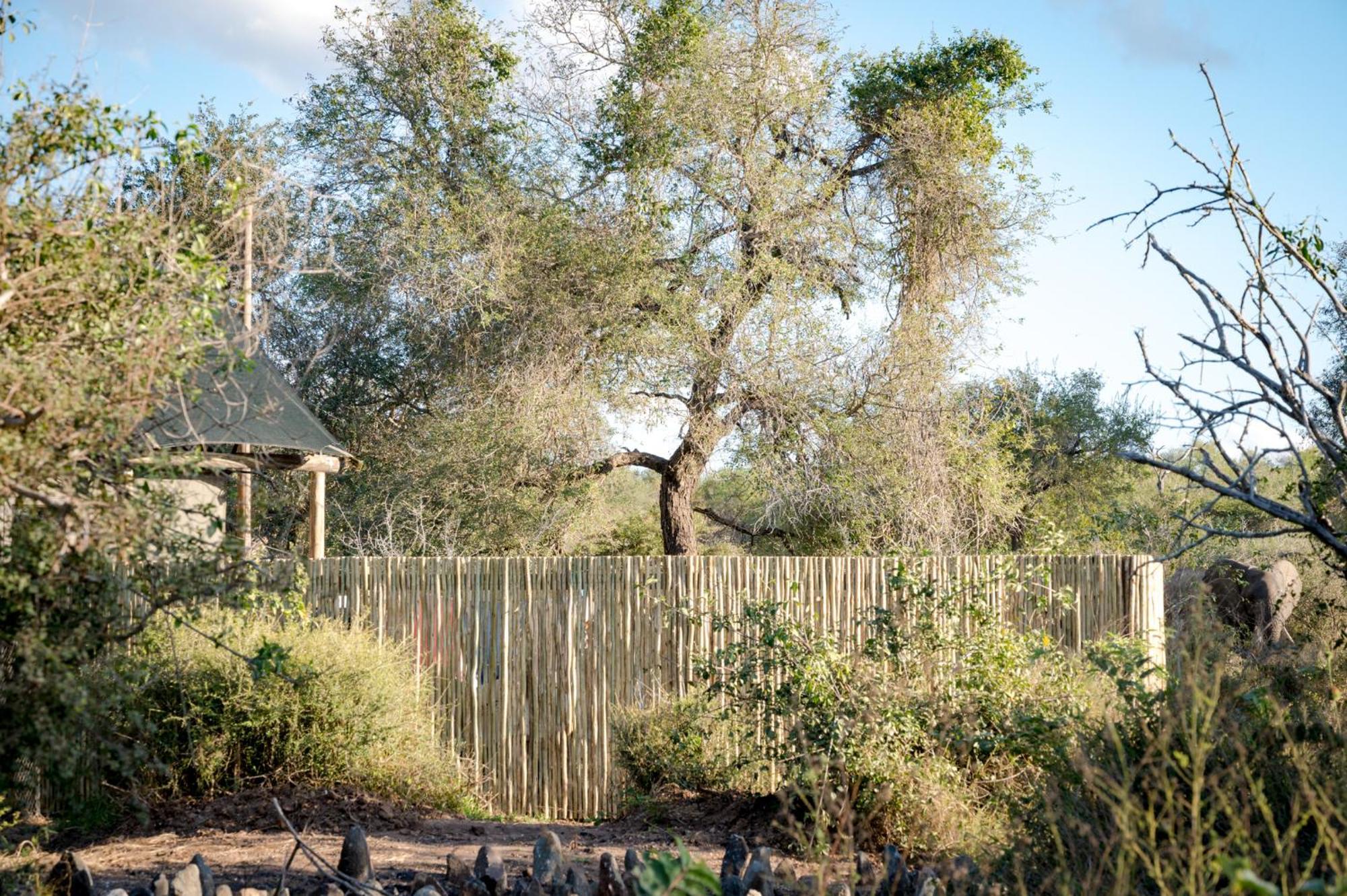 Nkuhlu Tented Camp Skukuza Exterior foto